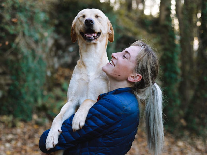 Dog owner spending time with their dog
