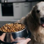 The right food for our dogs.