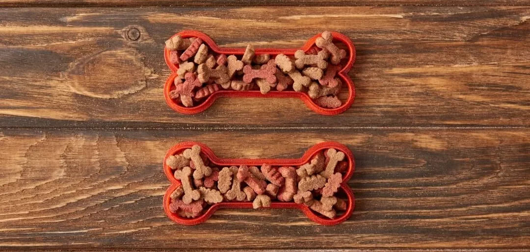 Right food for our dogs