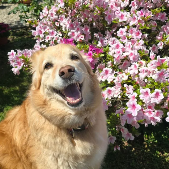 Photo of Mia